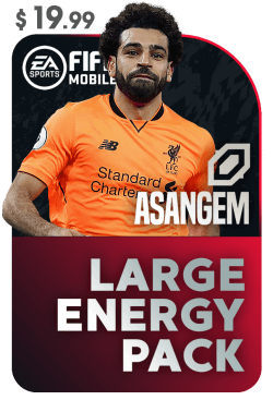 LARGE-ENERGY-PACK-250x3671-1